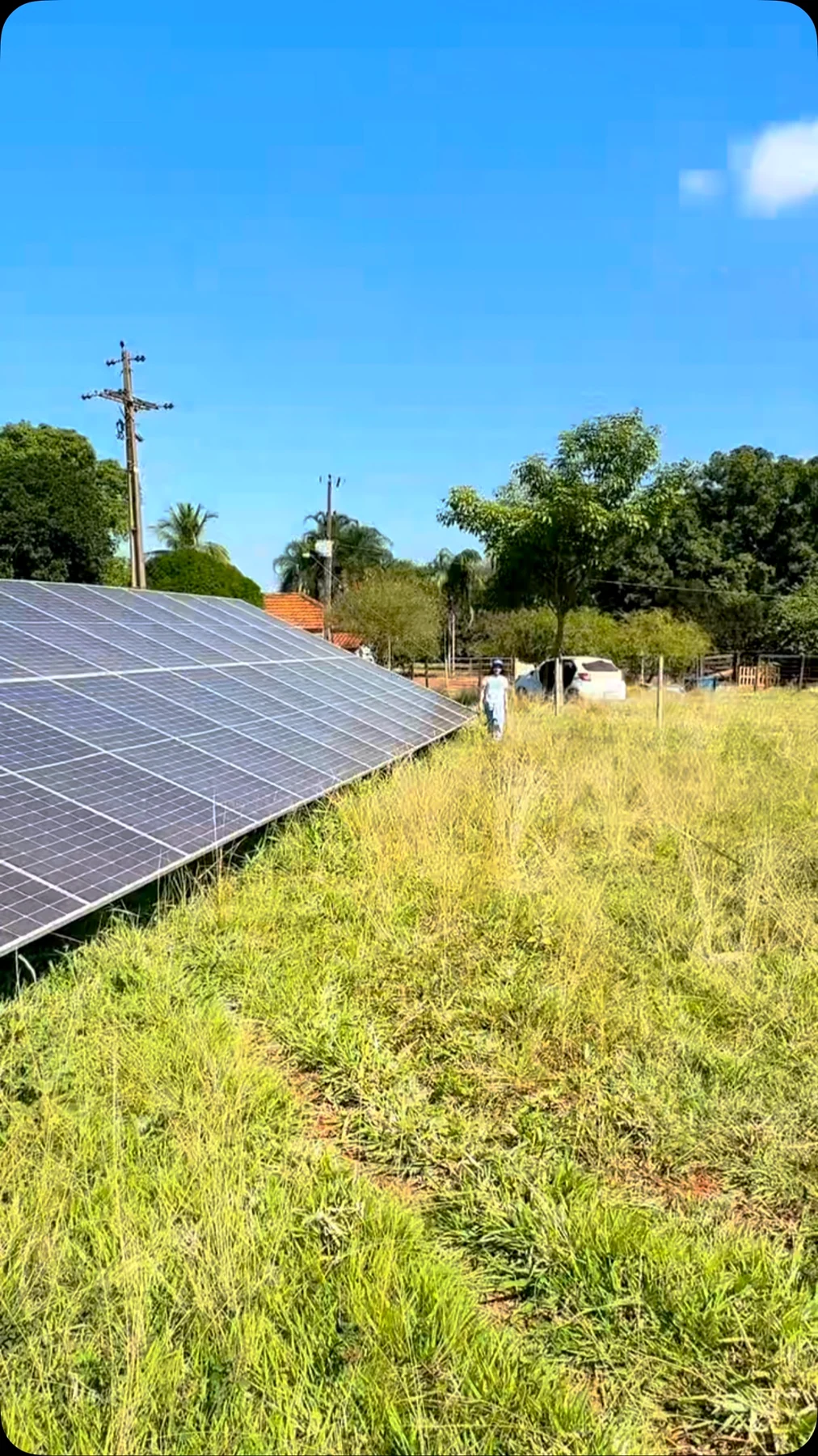 Registro publicado pela Rede Solar
